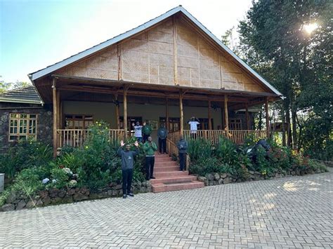 GORILLA LEISURE LODGE Updated 2023 Hostel Reviews Bugambira Uganda