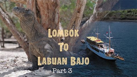 Lombok To Labuan Bajo Part 3 YouTube