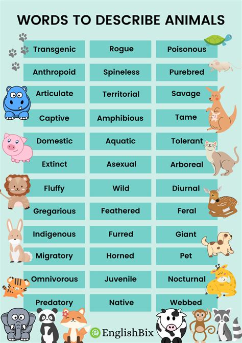 Adjectives Words To Describe Animals And Pets Englishbix