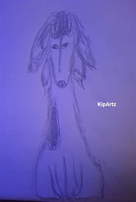 Borzoi Sketch By Priderat On Deviantart