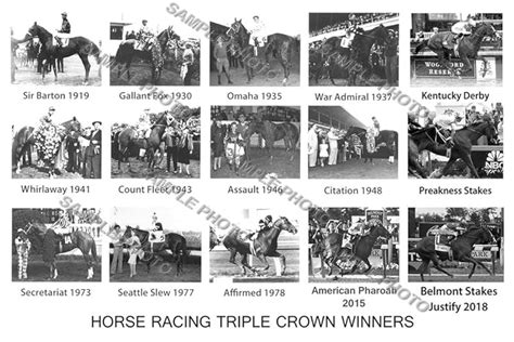 Top 9 War Admiral Triple Crown Winner - Product Reviews