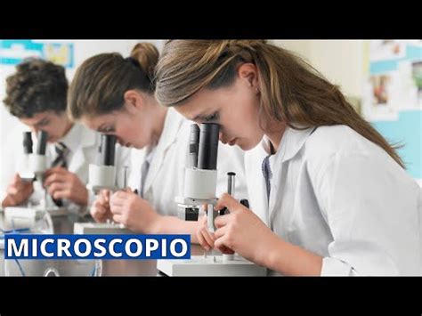 Tipos De Microscopio Y Sus Funciones Una Gu A Completa Todo Sobre