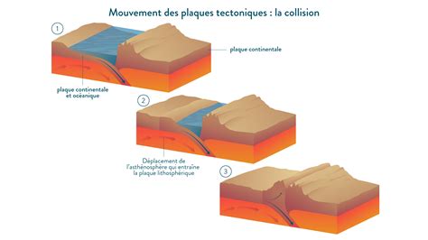 DM de SVT sur la tectonique des plaques un modèle éprouvé 1ère SVT