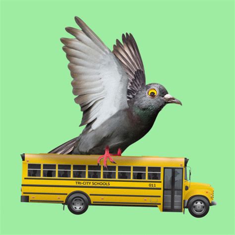 Pigeon Bus 