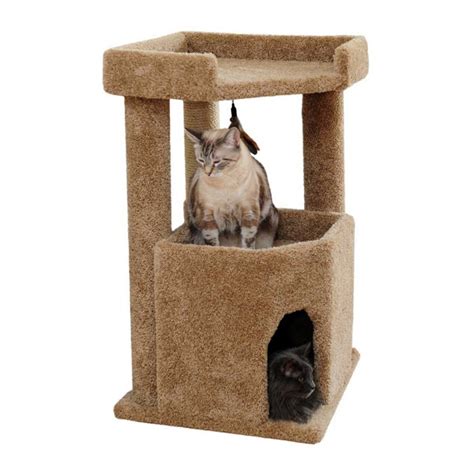 A Complete Guide To The Best Cat Trees Reviews And Tips For Choosing