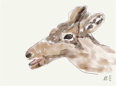 Scribbling With Spirit Sketching With The Ipad