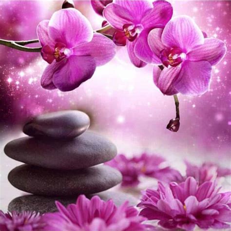 Magenta Zen Flowers Diamond Painting Kit at DiamondPaintingKits.com