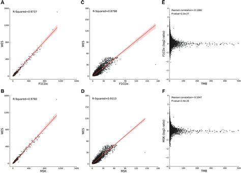 Tmb Estimation Results For Gene Panels In Different Datasets A B