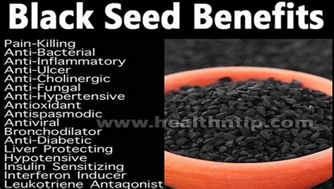 Message of The Prophets : Benefits of Black SEED( Kalonji Oil) -Nigella Sativa(English)--Cure ...