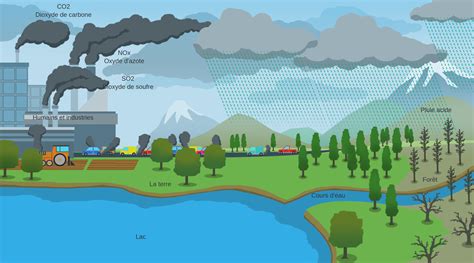 Les Pluies Acides Labster Theory