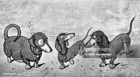 454 Cartoon Dachshund Stock Photos High Res Pictures And Images