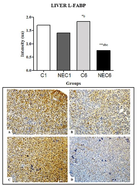 L FABP Expression In The Liver After Immunohistochemistry A Group C1