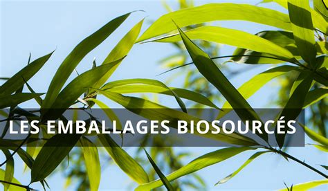 Focus sur les emballages biosourcés