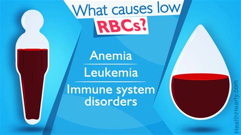 Causes of Low Red Blood Cell Count - Health Hearty