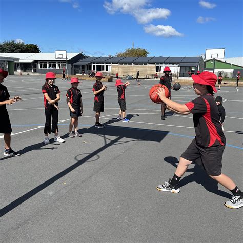 Pukeko Miniball