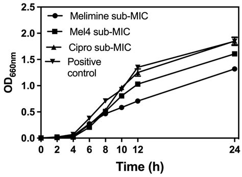 Antibiotics Free Full Text Enhancement Of Antibiofilm Activity Of