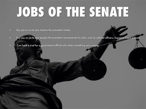 The Senate by xxufcgurlxx1998