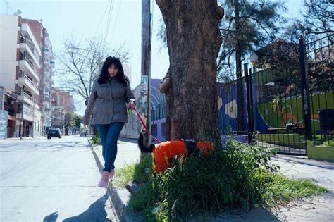 Una joven latina en la acera caminando con su mascota que huele hierba alrededor del árbol para
