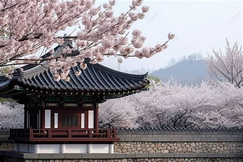 South Seoul South Korea Background Ancient Architecture High