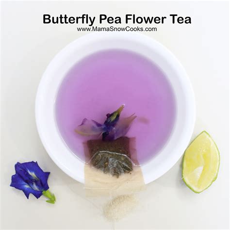 Butterfly Pea Flower Tea Mama Snow Cooks And More