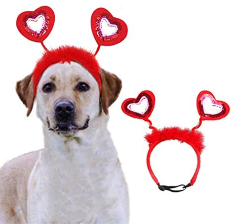 Valentine's Day Dog Costumes & Clothes for your little cupid!