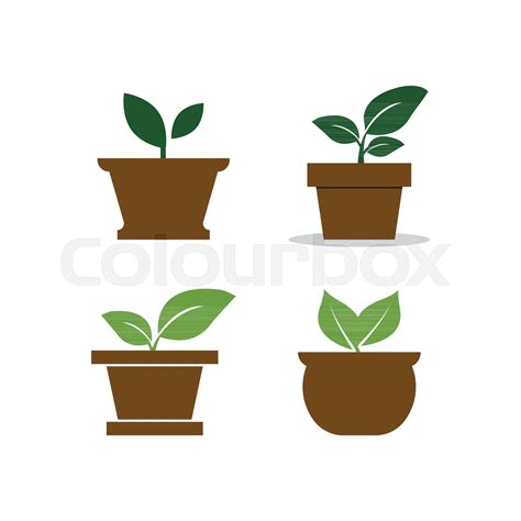 Plant Pot Logo Design Template Stock Vector Colourbox