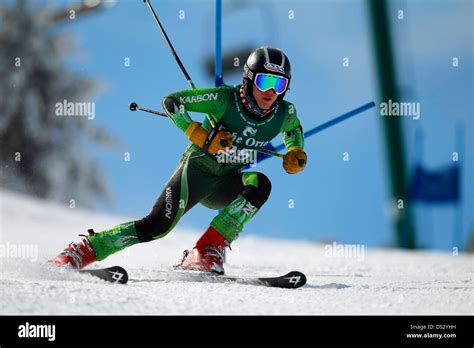 An alpine skier racing on a giant slalom course Stock Photo, Royalty ...