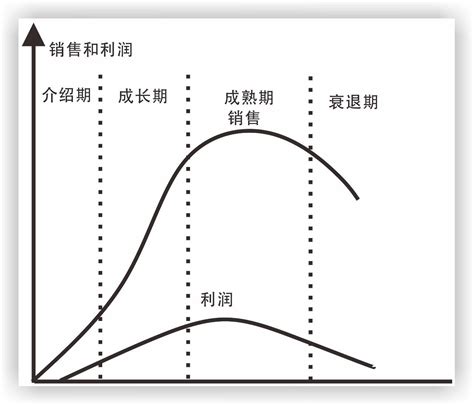 实战干货：如何不断打造店铺爆款？