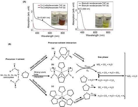 A Representative Illustration Of The Metalsulfur Interaction Tin