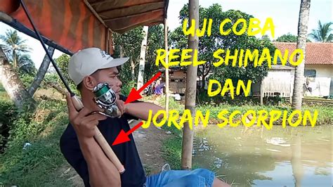 Testing Joran Dan Reel Sultan Mancing Mancingmania Empang Ikanmas