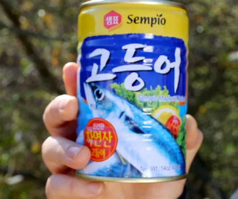 Canned Mackerel Godeungeo Tongjorim Korean Cooking Ingredients