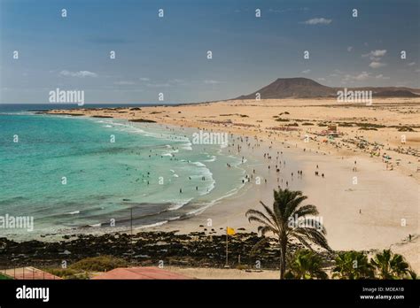 Aerial View Of Corralejo Beach And Its Dunes Crowded With Tourists In