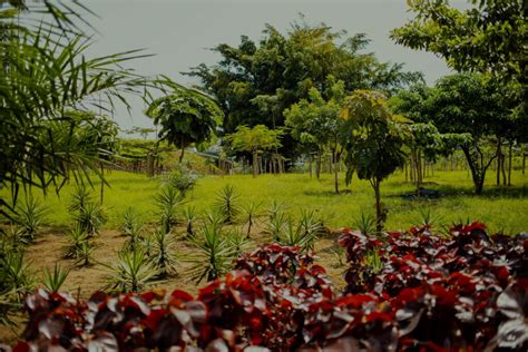 La coulée verte Société CERCIS