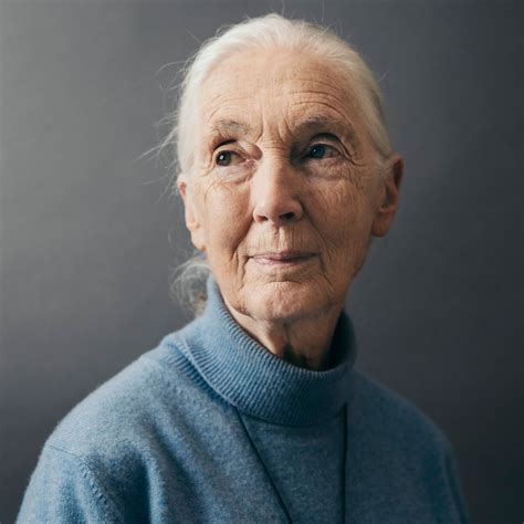 Jane Goodall Hopes The Coronavirus Pandemic Will Wake People Up Wsj