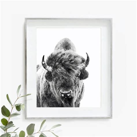 Bison Wall Art Buffalo Print Wilderness Photography Southwest Etsy