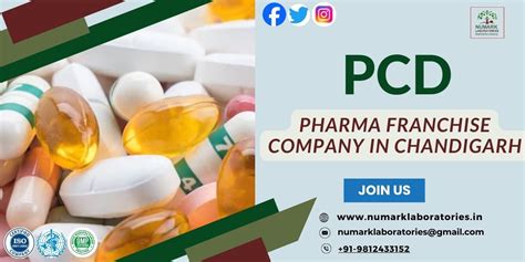 Best Pcd Pharma Franchise Company In Chandigarh Numark Laboratories