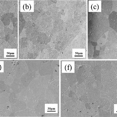 Sem Images Of Ag X A X Nbo Ceramics A Agnbo B Ag