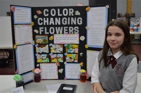 Flower Color Science Fair Projects Best Flower Site