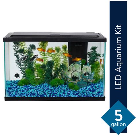 5 Gallon Fish Tank | Bruin Blog