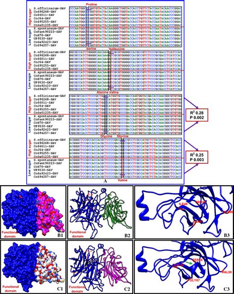 Multiple Nucleotide Sequence Alignment A And Predicted Homology