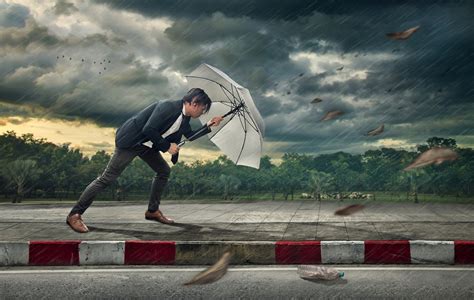 Against The Wind Adapt Productivity