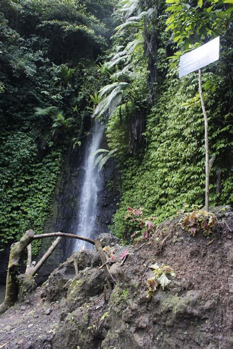 Curug Ciawitali Daya Tarik Ekowisata Ciwaluh Rmi