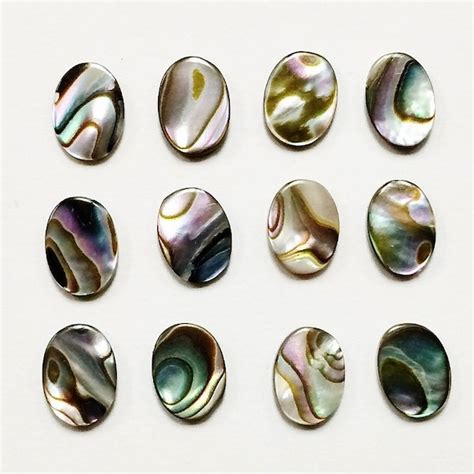 Abalone Etsy