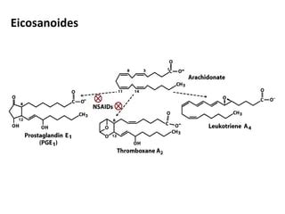 Lipidos PPT