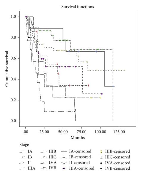 Estimated Overall Survival Divided By Stage Download Scientific Diagram