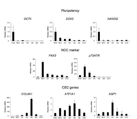 Quantitative Real Time Rt Pcr Qrt Pcr Qrt Pcr Analysis Of The