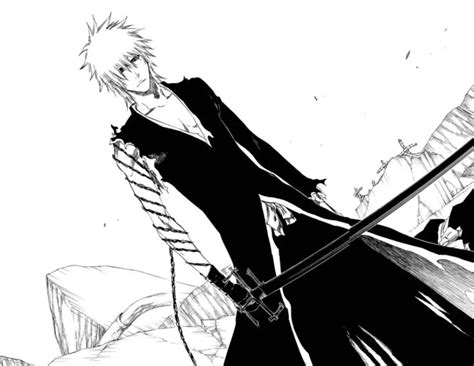 Dangai Ichigo (Bleach) vs. Shutara Senjumaru (Bleach) SPOILERS ...