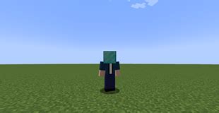 Hat Command (Forge) - Minecraft Mods - CurseForge