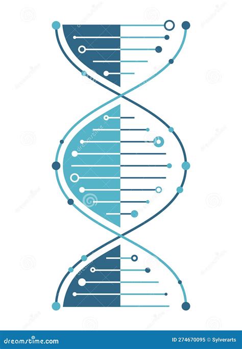 DNA Strand Vector Illustration Isolated Stock Vector Illustration Of