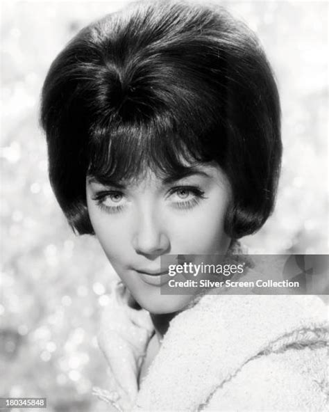 Linda Thorson Photos And Premium High Res Pictures Getty Images